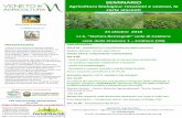 Presentazione di PowerPoint - venetoagricoltura.org · Daniele Antichi – Centro Ricerche Agroambientali “Enrico Avanzi” – Università di Pisa ore 11.30