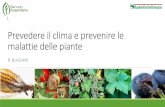 Prevedere il clima e prevenire le malattie delle piante · •Maggiore Area fogliare totale per pianta ... epidemiologico Ospite Condizioni favorenti la suscettibilità In generale