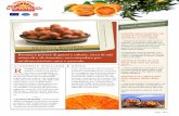 Rosaria è povera di grassi e calorie, ricca di sali ... · L'arancia di Sicilia è riconosciuta dalla Comunità Economica europea prodotto IGP (indicazione Geogra- ... rispetto agli
