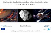 Davide Perna - astrofit2.inaf.it · I corpi minori: testimoni del sistema solare primordiale Quali processi hanno governato la formazione e l’evoluzione del sistema solare primordiale?