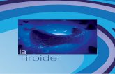 la Tiroide - Associazione Patologie Endocrine · IPOTIROIDISmO E GRAVIDAnZA La secrezione di ormoni tiroidei da parte del feto, inizia tra la 18a e 20a settimana di gestazione. Questo