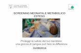 SCREENING NEONATALE METABOLICO ESTESO · neonatali • Age.na.s. compie ... 29 patologie screenate 9Ipotiroidismo 9Galattosemia 9Deficit dibiotinidasi 9Difetti del metabolismo degli