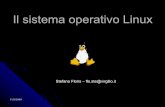 Il sistema operativo Linux · Mailing List, Newsgroup, Usenet, Freenet, BBS ... Stallman diffuse la propria password, gli fu intimato di non farlo e smise di usare il nuovo KL.10.