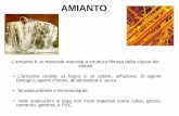 AMIANTO - cptmilano.it di bonifica amianto (2).pdf · • Il controllo dei materiali contenenti amianto e le procedure per le ... (SEM). • Amianto in % > 2% piastrella, superfice
