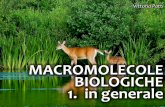 MACROMOLECOLE BIOLOGICHE 1. in generale · di biomolecole diverse, risultanti della combinazione di 4 o 5 elementi soltanto! 14 Le macromolecole si suddividono in 4 grandi gruppi