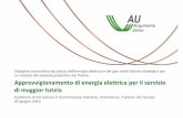 Approvvigionamento energia - senato.it · Approvvigionamento di energia elettrica per il servizio di maggior tutela ... • Modalità di approvvigionamento – Previsioni – Acquisti
