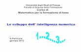 Università degli Studi di Firenze Facoltà di Scienze della ...web.math.unifi.it/users/dolcetti/Perticone G_ Intelligenza numerica... · l'intelligenza numerica PREVERBALE studi