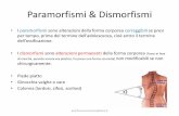 Paramorfismi & Dismorfismi - Cagliari · Stretching e tono muscolare per prevenire e ridurre i paramorfismi prof.francescomurtas@alice.it iperlordosi lombare