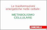 Le trasformazioni energetiche nelle cellule: METABOLISMO ... · Due strategie per procurare energia eterotrofi autotrofi Il metabolismo energetico è costituito dalle vie metaboliche,