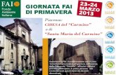 Piacenza: CHIESA del “Carmine” o di “Santa Maria del Carmine”colombarte.weebly.com/uploads/1/9/9/5/19957849/s._maria_del... · architettonico, ma antichi e più che dignitosi