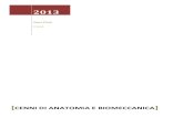 Cenni di anatomia e biomeccanica - oasiclubpalestra.itoasiclubpalestra.it/.../uploads/2014/12/cenniAnatomiaBiomeccanica.pdf · [CENNI DI ANATOMIA E BIOMECCANICA] Organizzazione del
