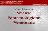 Corso di Laurea in Scienze Biotecnologiche Veterinarieusers2.unimi.it/biotecnologia/wp-content/uploads/LM9presentazione... · Unità didattica: Ingegneria proteica e biochimica del