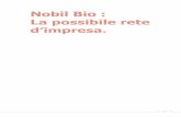 Nobil Bio : La possibile rete - digspes.uniupo.it · garantire una offerta più completa (di servizi, di prodotti, di fasi di lavorazioni) in una logica di rete trasversale di Pmi