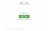 Country Report Brasile novembre 2011 - wec-italia.org · Il Presidente della Repubblica viene eletto a suffragio universale con un mandato di quattro anni, per un massimo di due mandati,