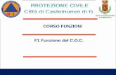 CORSO FUNZIONI F1 Funzione del C.O.C.ucgarfagnana.lu.it/wp-content/uploads/2017/05/Corso2017... · Funzioni C.O.C. Funzioni: -Coordinamento e Segreteria ... Ordinanza Attivazione