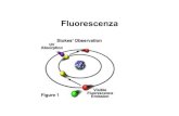 Fluorescenza - dbt.univr.it .ambienti polari (con lieve diminuzione della resa quantica) Sonde fluorescenti