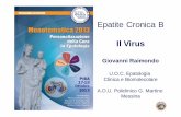Epatite Cronica B Il Virus - AISF | Associazione Italiana ... · Epatite Cronica B Il Virus Giovanni Raimondo U.O.C. Epatologia Clinica e Biomolecolare A.O.U. Policlinico G. Martino