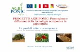 PROGETTO AGRIPONIC: Promozione e diffusione della ... colture... · Il basilico è sensibile a diverse malattie che possono ridurre il raccolto, come ... coltivazione in un sistema