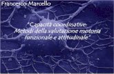 Francesco Marcello Capacità coordinative: Metodi della ... · Principi per l’allenamento delle ... Miglioramento funzionale degli analizzatori 5. ... 2.60 Il portiere, prima di
