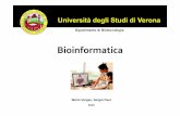 Bioinformatica e annotazione genomi - University of Veronamolsim.sci.univr.it/2013_bioinfo2/sergio/01_02_Bioinformatica_e... · La bioinformatica è la disciplina scientifica che