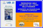 Prevenzione degli infortuni sul lavoro nelle fonderie ... · distribuzione per settore lavorativo infortuni sul lavoro in italia inail, 21/03/2008 infortuni in complesso “frequenza