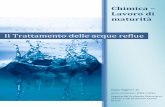 Chimica Lavoro di maturità - STSBC Società Ticinese ...stsbc.ch/Archivio/2010/Bandi/LAM/Lavori/Nadja Niggeler - Il... · Chimica – Lavoro di maturità Il Trattamento delle acque