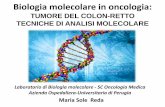 TUMORE DEL COLON-RETTO TECNICHE DI ANALISI MOLECOLAREtecnlab/Materiale Didattico/2016/Oncologia Medica... · Biologia molecolare in oncologia: TUMORE DEL COLON-RETTO TECNICHE DI ANALISI
