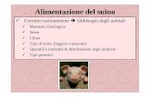 Alimentazione del suino - Homepage - Daniele Vaccaridanielevaccari.altervista.org/alterpages/files/... · – 100 kg di PV in circa 160 giorni e 12 mm di spessore del grasso dorsale