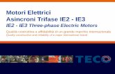 Presentazione standard di PowerPoint Motori... · LA NUOVA GAMMA DI MOTORI IE2 - IE3 / THE NEW RANGE OF IE2 - IE3 MOTORS . Scelte tecniche affidabili e manutenzione semplificata!