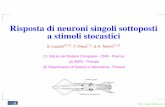 Risposta di neuroni singoli sottoposti a stimoli stocastici · Risposta di neuroni singoli sottoposti a stimoli stocastici S. Luccioli(2;3), ... iperpolarizzazione, della durata di