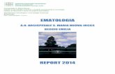 Ematologia report 2014 Merli - GRADE Homepage · EMATOLOGIA A.O. ARCISPEDALE S. MARIA NUOVA-IRCCS REGGIO EMILIA REPORT 2014 ... unità infermieristica sostitutiva per non sguarnire