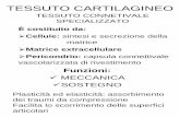 TESSUTO CARTILAGINEO - Liceo Scientifico e Classico ...liceocuneo.it/oreggia/wp-content/uploads/sites/14/Tessuto... · vascolarizzata di rivestimento Funzioni: 9MECCANICA 9SOSTEGNO