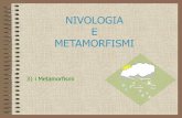 NIVOLOGIA E METAFORMISMO - alpitrekking.it · Questi processi di ristrutturazione dei cristalli, detti metamorfismi , avvengono in due livelli di umidità della neve - metamorfismo