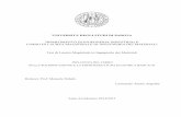 UNIVERSITÀ DEGLI STUDI DI PADOVA DIPARTIMENTO DI …tesi.cab.unipd.it/49663/1/Angelini_Fausto_1080716.pdf · 2015-10-20 · di alluminio e silicio, ... bismuto, piombo, cadmio ed