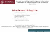 Corso di Laurea Magistrale in Ingegneria Biomedica ...sbai.uniroma1.it/~mauro.pasquali/page2/page9/downloads/files/22 Bio... · •La membrana cellulare con i recettori si ripiega