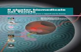 Il cluster biomedicale nel Veneto - .Il cluster biomedicale nel Veneto dinamiche evolutive delle