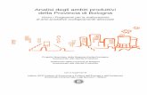 Analisi degli ambiti produttivi della Provincia di Bologna · Analisi degli ambiti produttivi della Provincia di Bologna Verso i Programmi per la realizzazione di aree produttive