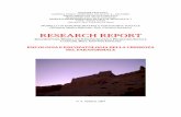 RESEARCH REPORT N4 - studiopsichiatricoiannuzzo.com · più estensiva altre credenze, come in una scala ideata da Thalbourne e Delin (1993), nella quale vengono prese in considerazione