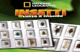 Scopri gli insetti più spettacolari - insettidalmondo.it · Parente degli indesiderati compagni domestici che vivono in cucina. Si tratta di un invertebrato molto particolare, che