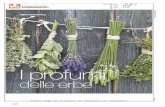 Mensile VDG Magazine.pdf · Le erbe aromatiche trovano asilo nel balcone di ogni casa, non necessitano di grandi cure e sono sempre pronte all'uso. A destra un mazzetto di Alloro