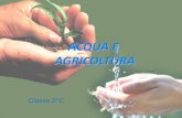 ACQUA E AGRICOLTURA - ic-lonatepozzolo.gov.it · Per usi domestici 5 minuti di doccia ... • Evitare gli sprechi; spesso nei paesi in via di ... Acqua e agricoltura, prospettive