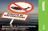 RAPPORTO DELLA CAMPAGNA MARE DI GREENPEACE ITALIA - …i2.cdn.turner.com/cnn/2012/images/01/16/greenpeace.pelagos.pdf · la media era di circa 22 delfini per gruppo, ne abbiamo trovati
