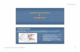 CONGIUNTIVA E CORNEA - sunhope.it E CORNEA.pdf · 22/03/2010 scaricato da 5 Sintomi, segni e diagnosi Dopo una incubazione di circa 5-12 giorni, si presentano i sintomi di iperemia