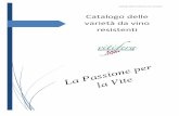 Catalogo Uve vino resistenti - lnx.vivaiviticolitrentini.itlnx.vivaiviticolitrentini.it/barbatelle/wp-content/uploads/2017/12/... · Catalogo delle varietà da vino resistenti Esther