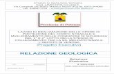RELAZIONE GEOLOGICA - Provincia di Potenza · Relazione illustrativa AGGIORNAMENTO STUDIO DI GEOLOGIA TECNICA Geol. LAVECCHIA Giovanni C. Via Campitelli snc 85052 Marsico Nuovo (PZ)