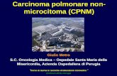 Carcinoma polmonare non- microcitoma (CPNM)tecnlab/Materiale Didattico/2016/Oncologia Medica... · CPNM nei mai fumatori e biologia Da: Sun, et al. Nat Rev Cancer 2007 La mutazione