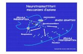 Neurotrasmettitori: meccanismi d’azione - Fisiokinesiterapiafisiokinesiterapia-news.it/NewDownload/antidepressivi.pdf · INIBITORI DELLE MAO Non selettivi e irreversibili iproniazide
