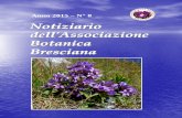 Anno 2015 – N° 8 · "La dispensa della natura: le piante spontanee commestibili, terapeutiche e cosmetiche" curata da Roberto Sarasini, nostro associato, esperto erborista, fitoterapeuta