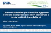 Linee Guida ENEA per il monitoraggio dei consumi ... · consumi energetici nei settori industriale e terziario (GdO, Immobiliare) Roma, 15 Gennaio 2019 ... 6 Linee Guida ENEA per