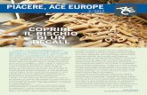 PIACERE, ACE EUROPE - acegroup.com · e Marketing. Dal 2011 Zotti è stato Rappresentante Generale per l’Italia di ERV (Ergo Insurance Group – parte del gruppo Munich Re specializzata